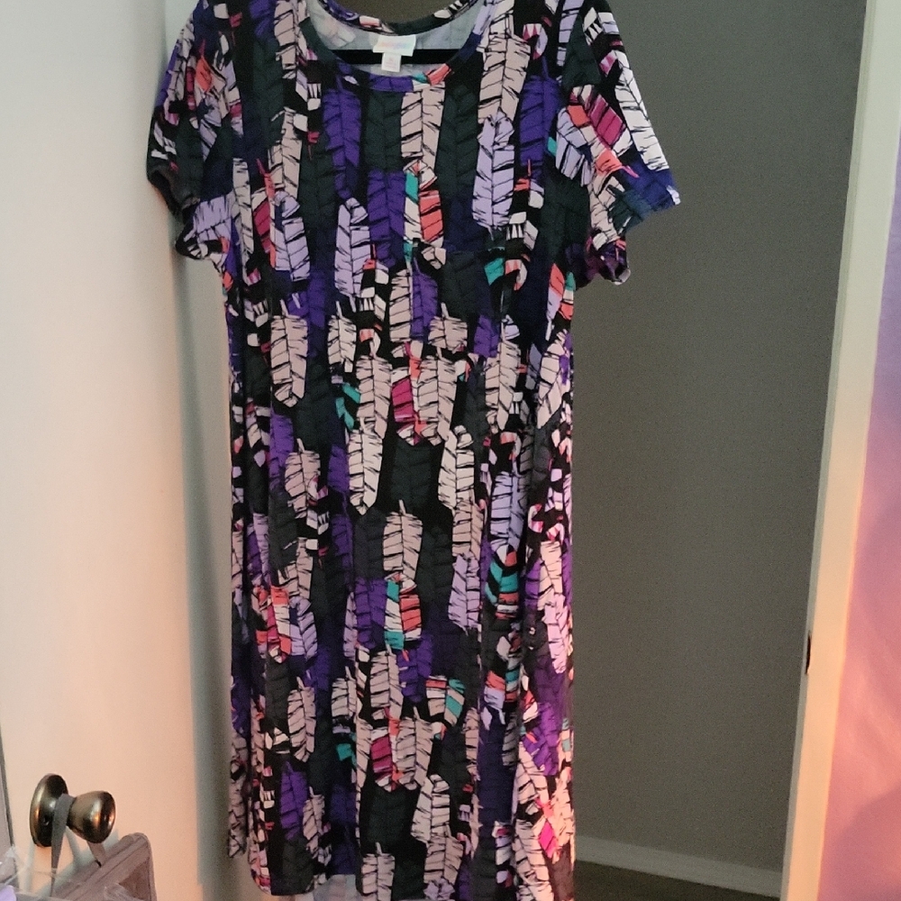 Colorful Feather Print Women's Dress